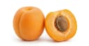 Apricot