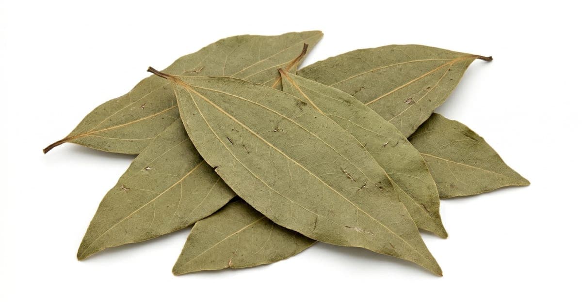 Bay Leaves