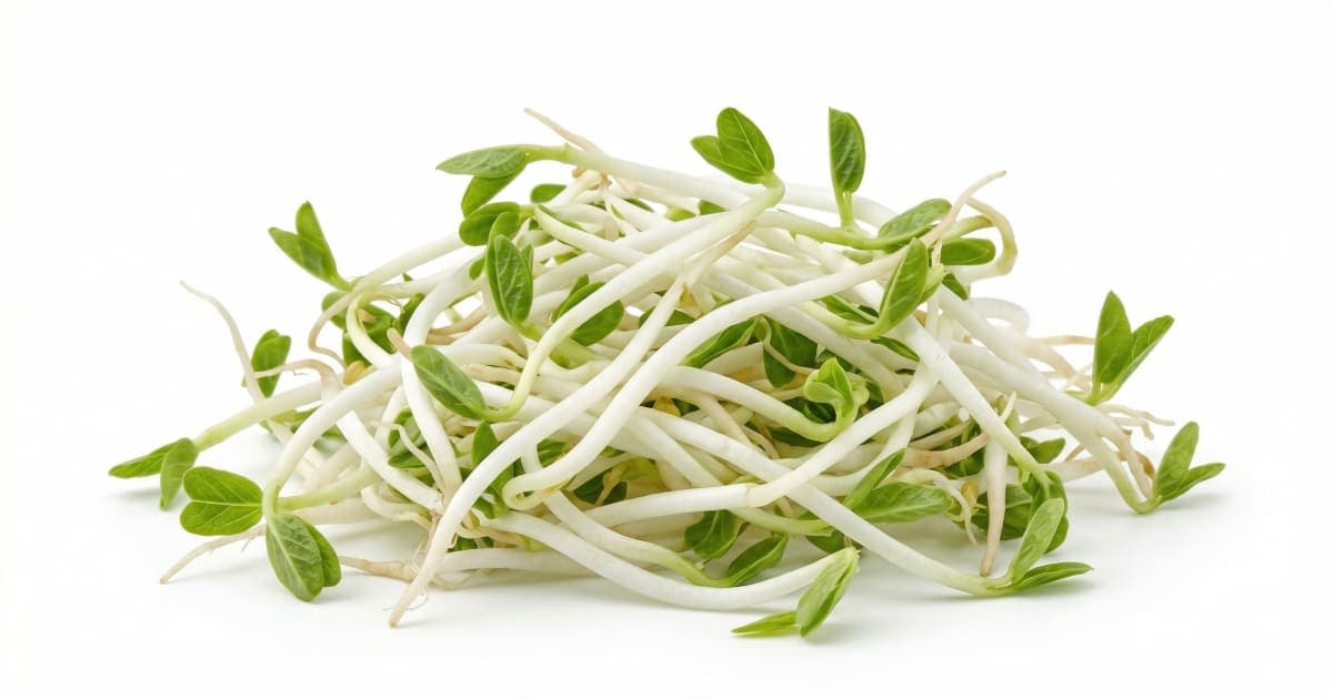 Bean Sprouts