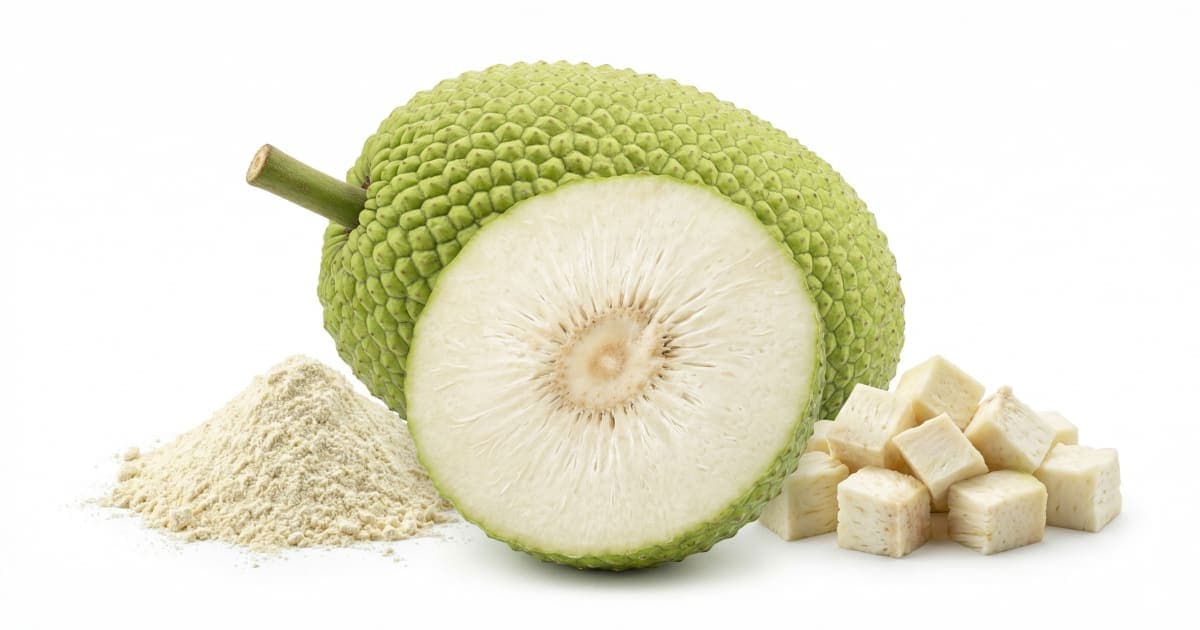 Breadfruit