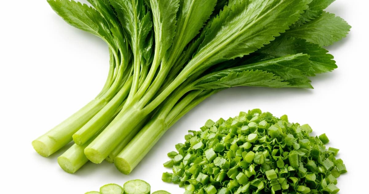 Culantro