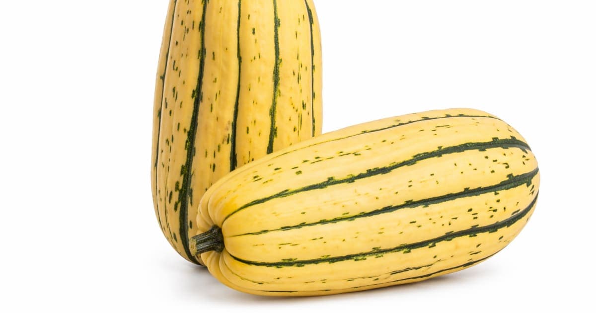 Delicata Squash