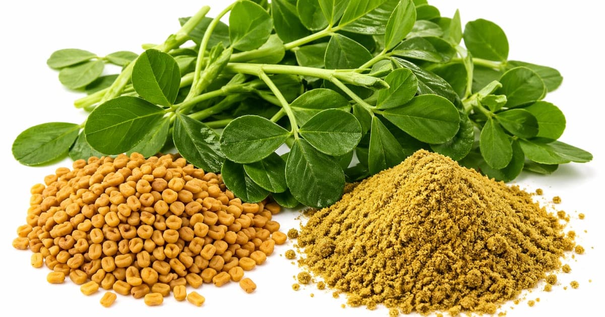 Fenugreek