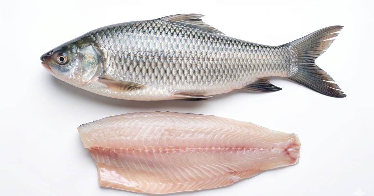 Fish