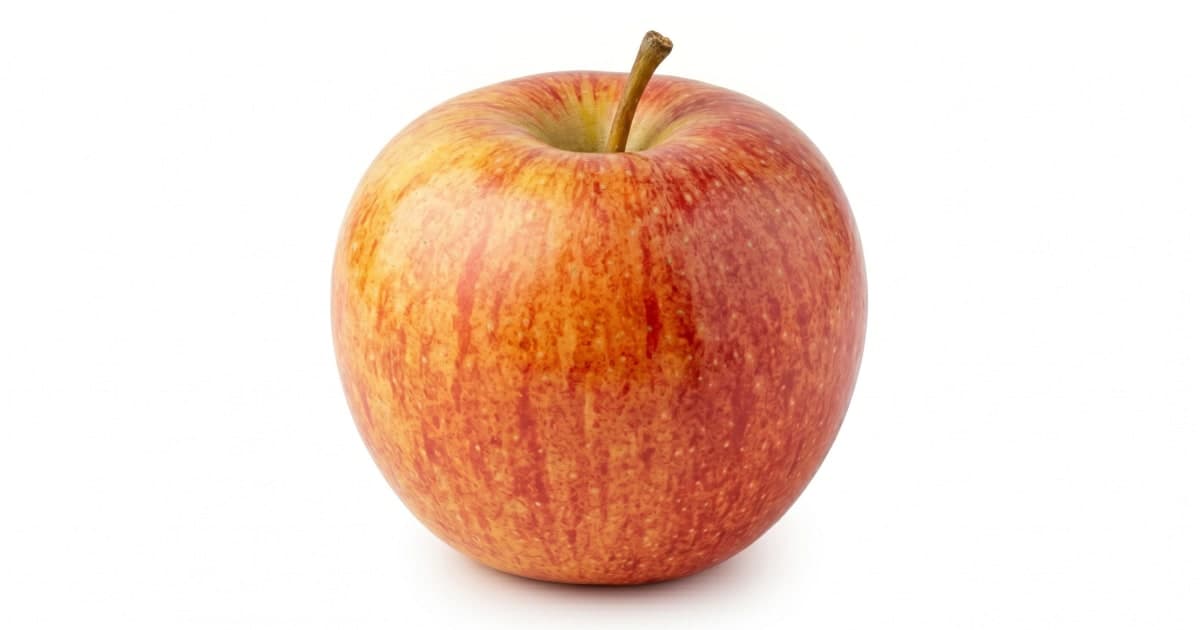 Gala Apple