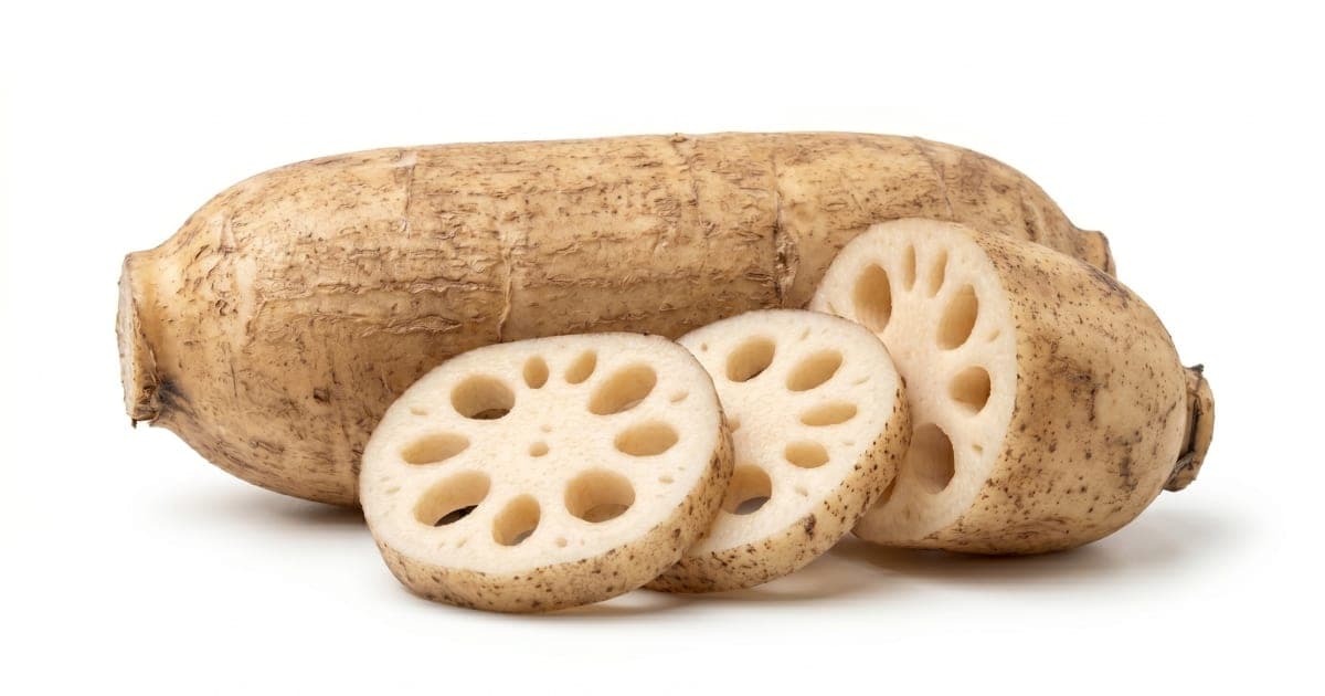 Lotus Root