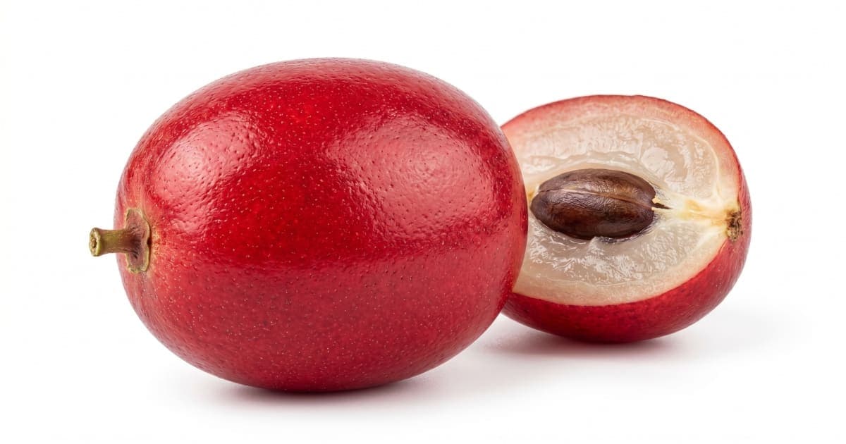 Miracle Fruit