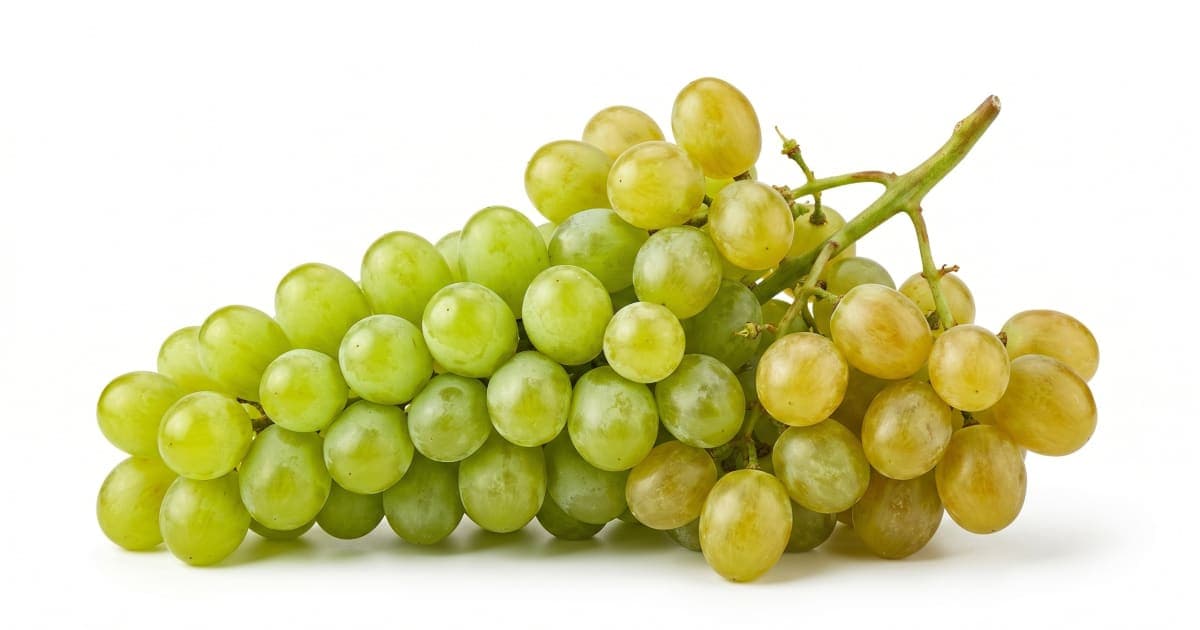 Muscat Grapes