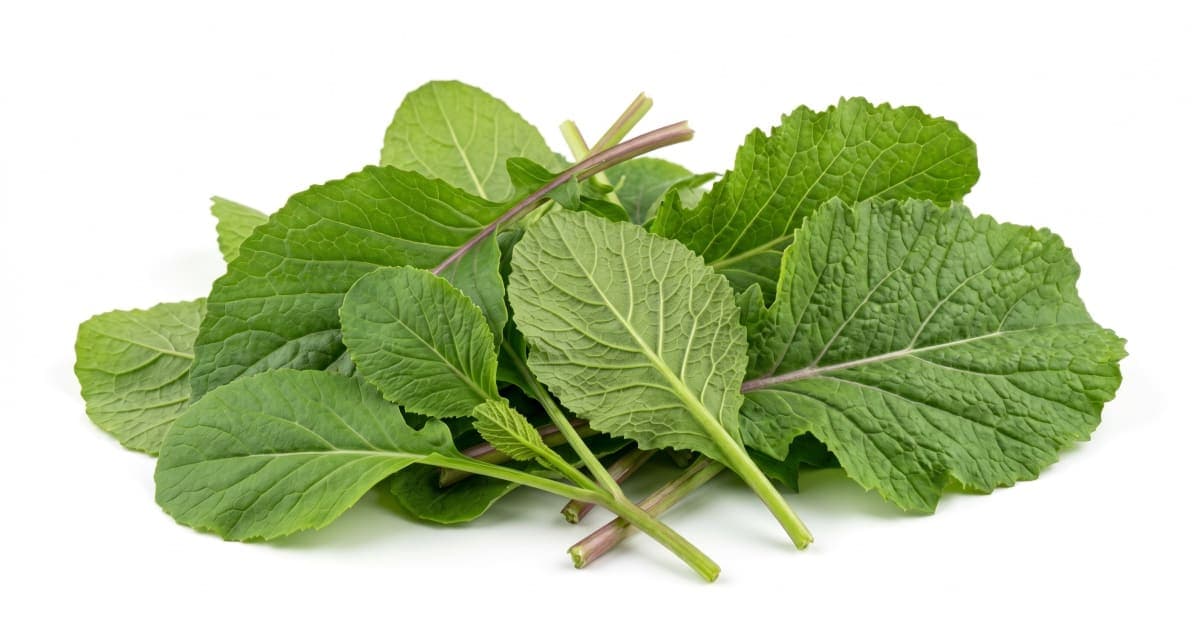 Mustard Greens
