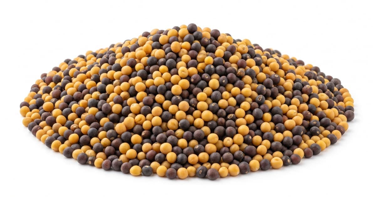 Mustard Seeds