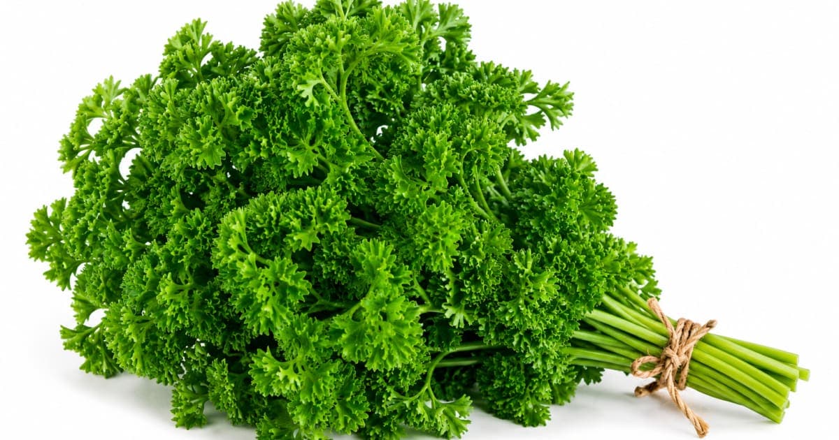 Parsley