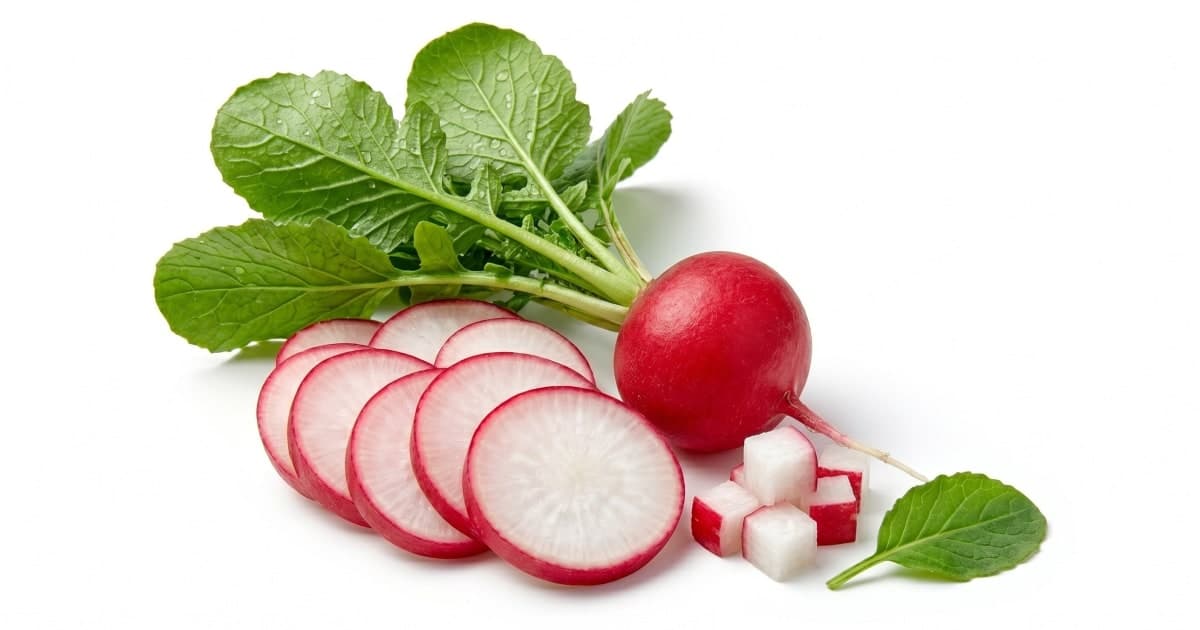 Radish