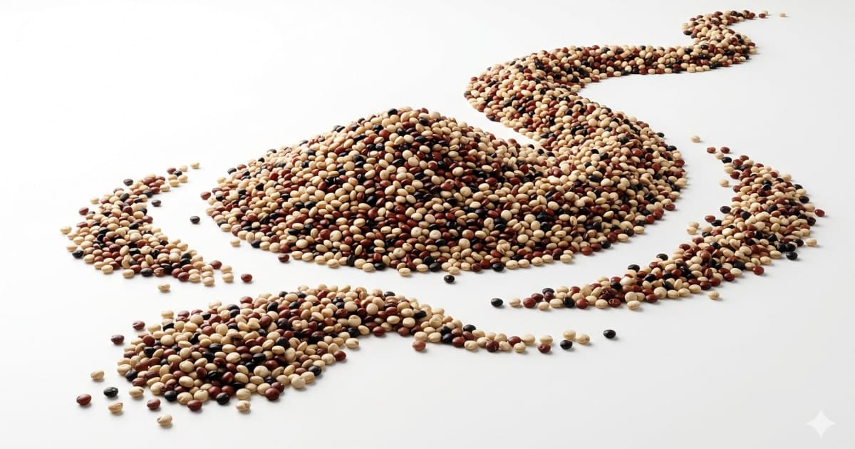 Quinoa