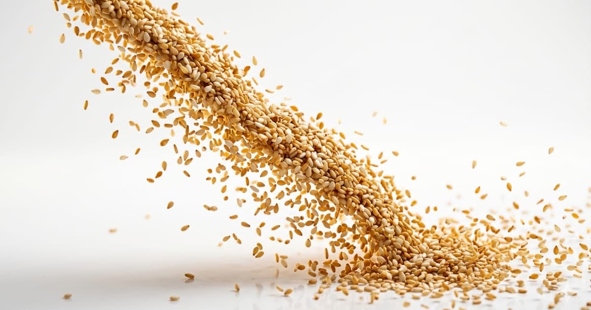 Sesame Seeds