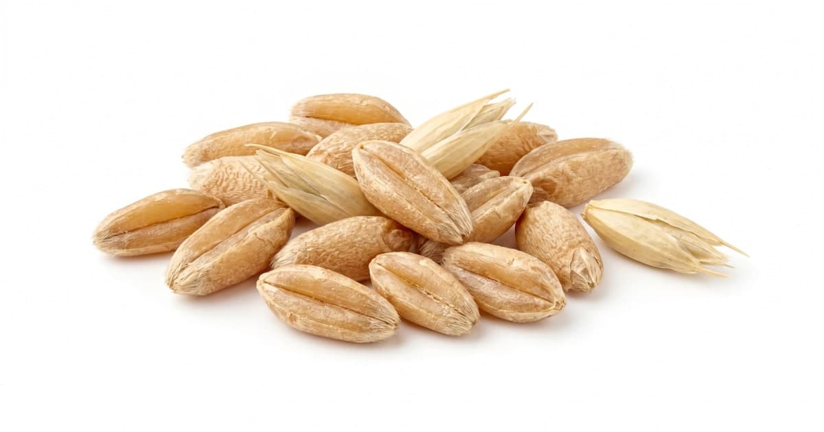 Spelt