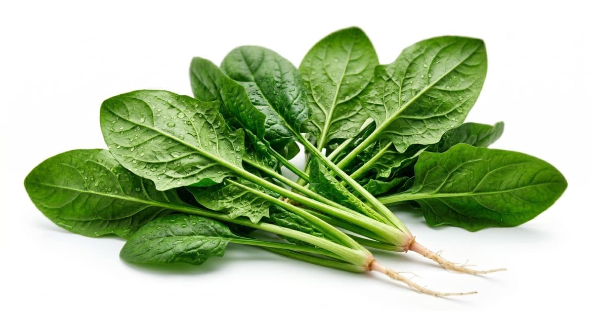 Spinach