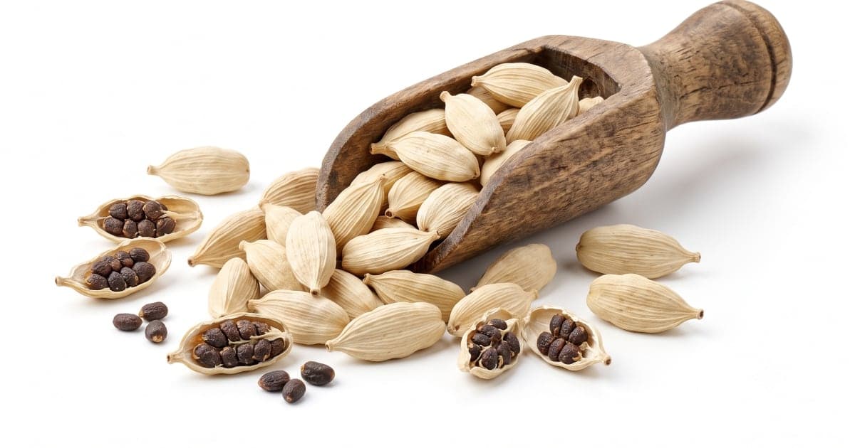 White Cardamom