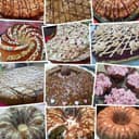 Ebtihal Sweets