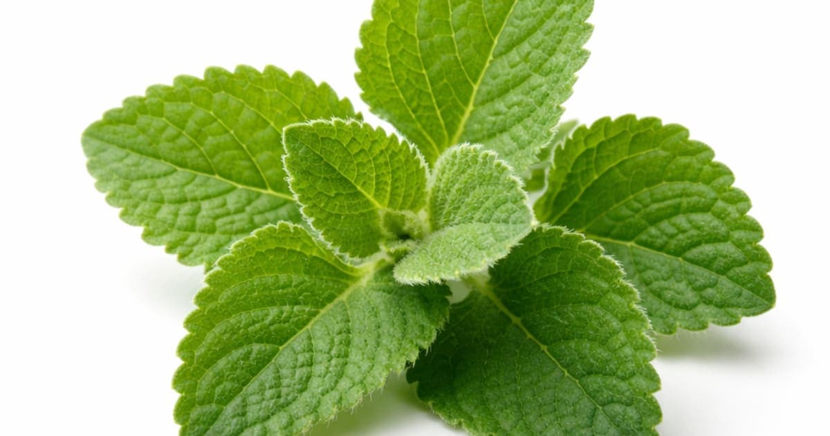 Ajwain