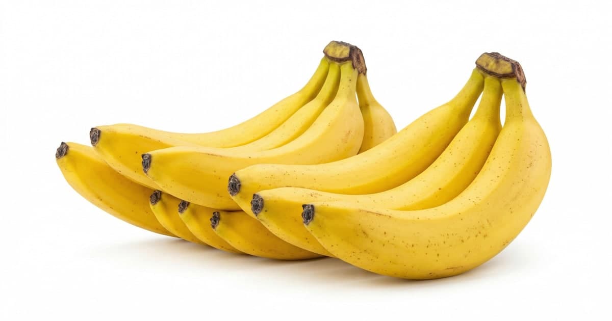 Cavendish Banana