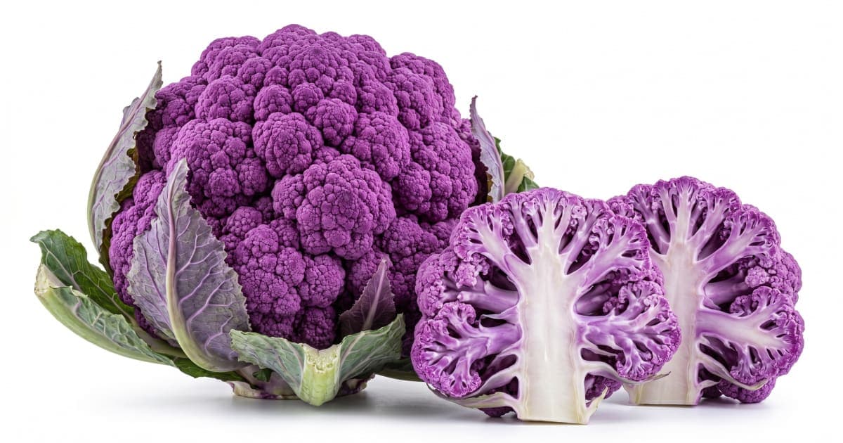 Purple Cauliflower